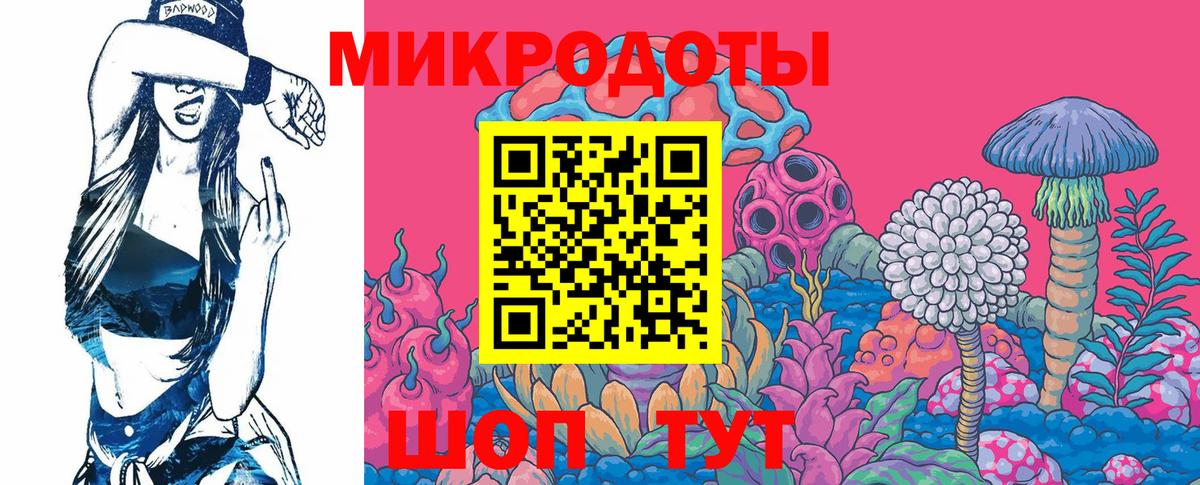 Волхов  Галлюциногенные грибы Psilocybine cubensis  Вход с VPN 